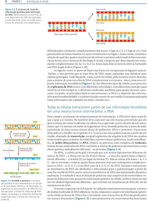Biologia Molecular da Célula Walter 6° E [E-book]