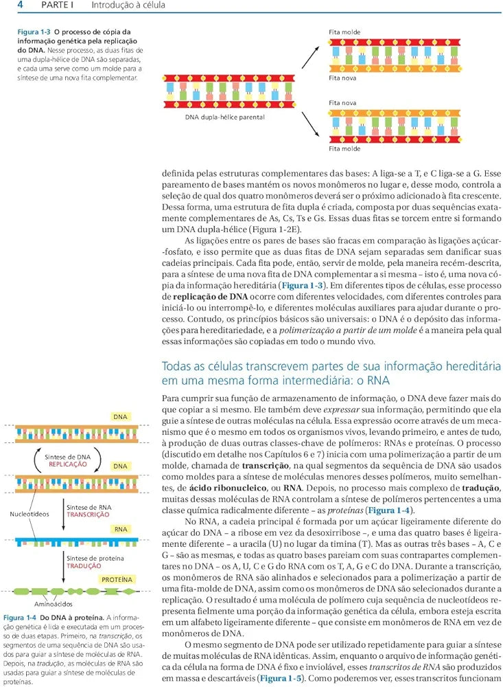 Biologia Molecular da Célula Walter 6° E [E-book]