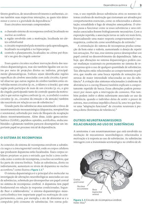 Dependência química: Prevenção, tratamento e políticas públicas Laranjeira 2° Ed [E-book]