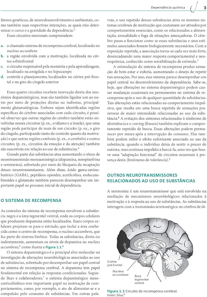 Dependência química: Prevenção, tratamento e políticas públicas Laranjeira 2° Ed [E-book]