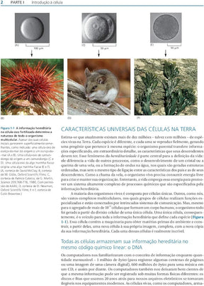 Biologia Molecular da Célula Walter 6° E [E-book]