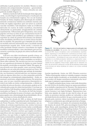 Princípios de Neurociências Kandel 5°Ed [E-book]