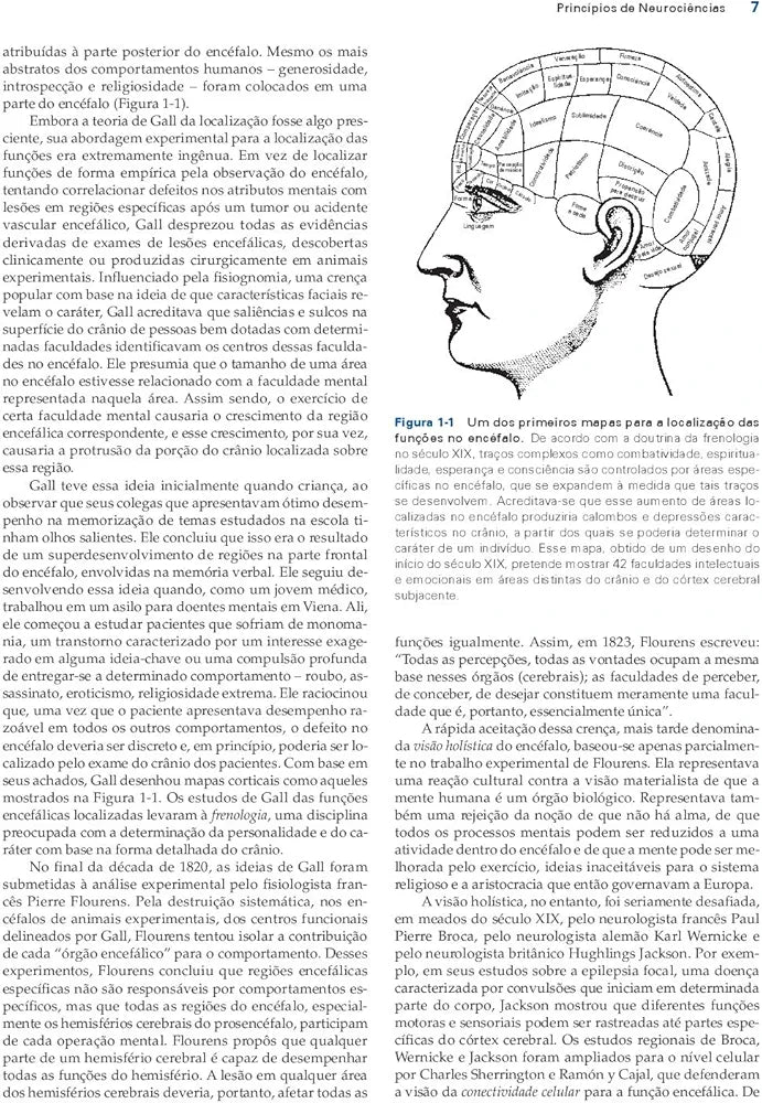 Princípios de Neurociências Kandel 5°Ed [E-book]
