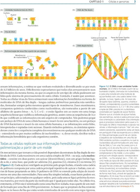 Biologia Molecular da Célula Walter 6° E [E-book]