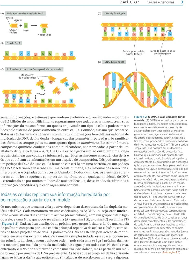 Biologia Molecular da Célula Walter 6° E [E-book]