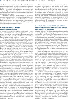 Princípios de Neurociências Kandel 5°Ed [E-book]