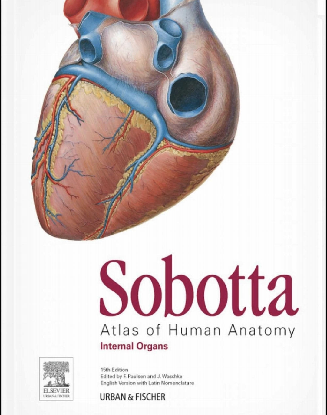 Sobotta Atlas de Anatomia 3 Volumes [E-book em inglês]
