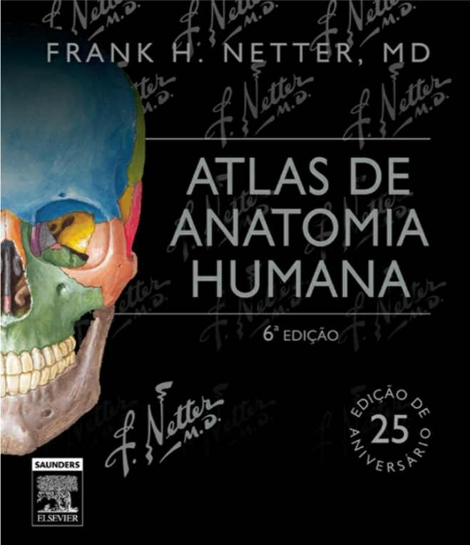Atlas De Anatomia Humana Netter 6° Ed [E-Book]