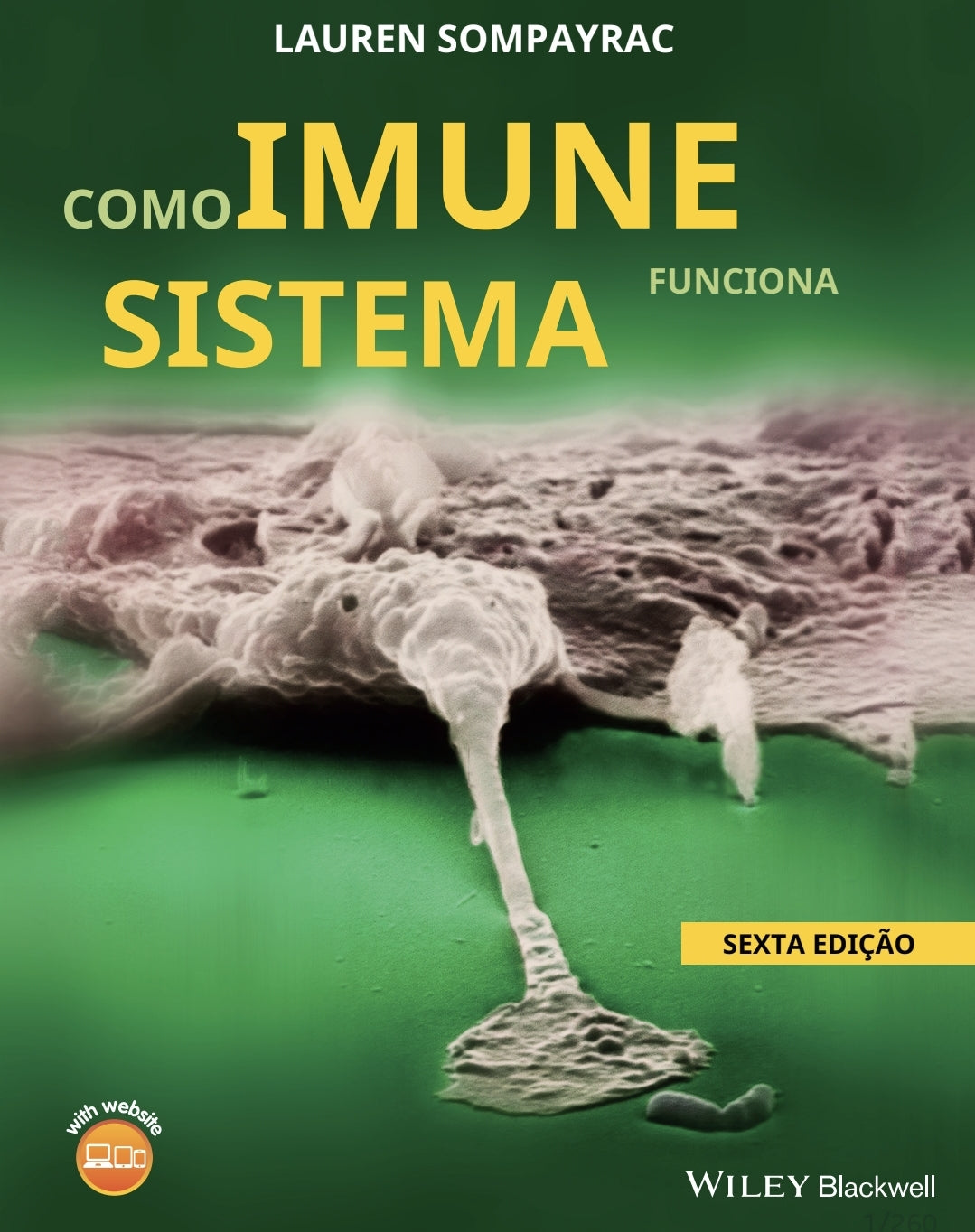 Como o sistema imune Funciona Sompayrac 6 ° Ed [E-book]