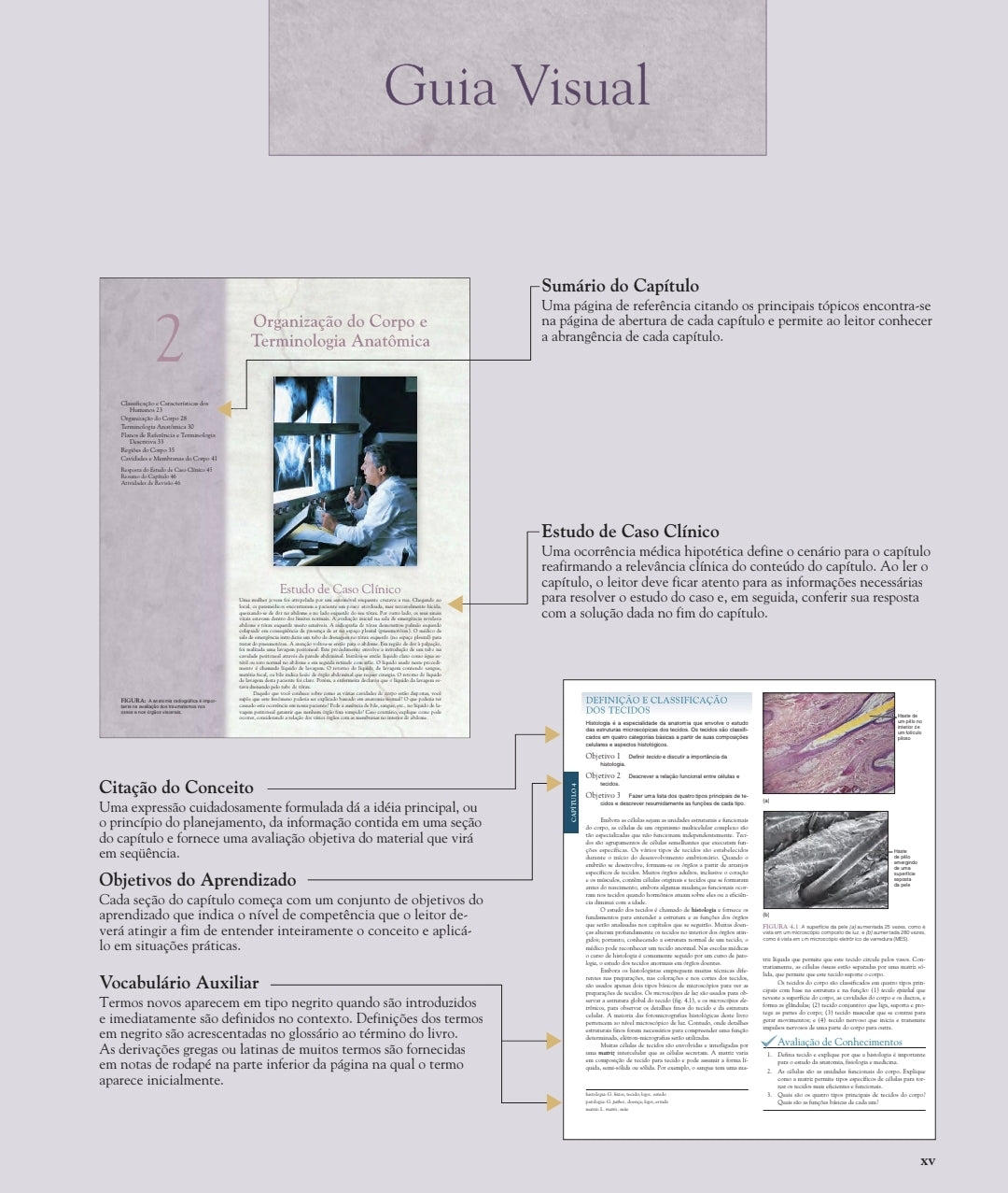 Anatomia Humana Van de Graaff 6°Ed [E-book]