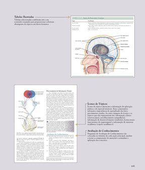 Anatomia Humana Van de Graaff 6°Ed [E-book]