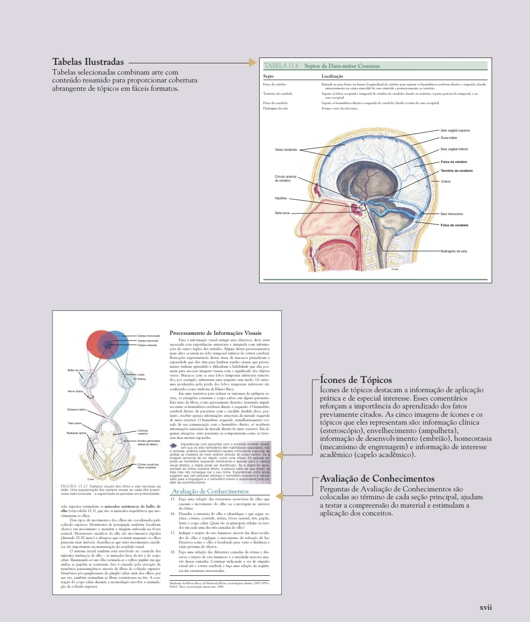 Anatomia Humana Van de Graaff 6°Ed [E-book]