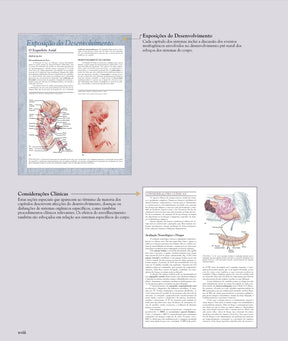 Anatomia Humana Van de Graaff 6°Ed [E-book]