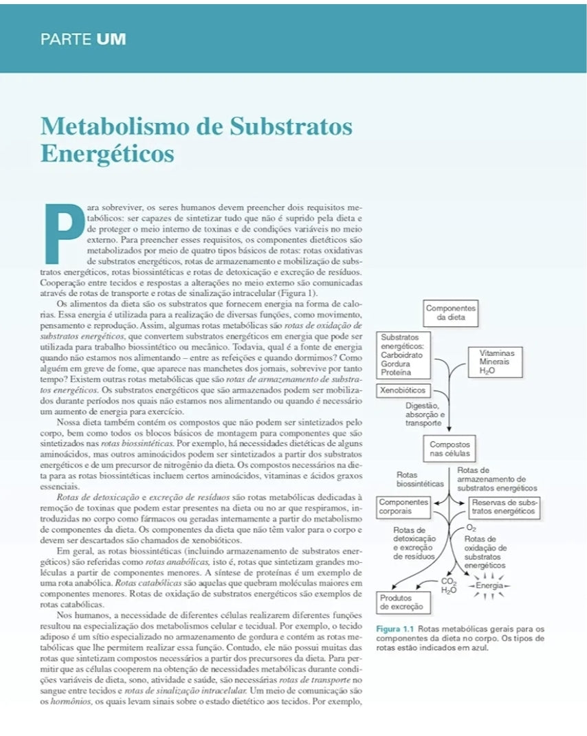 Bioquímica Médica Básica de Marks: uma abordagem clínica 2° Ed [E-book]