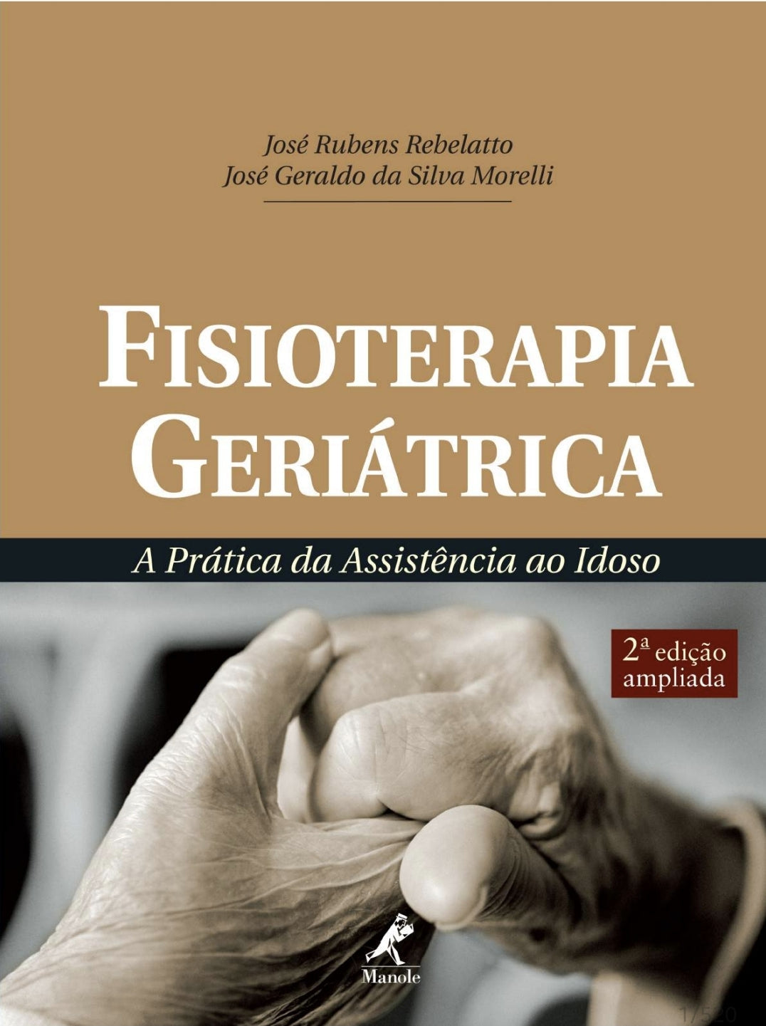 Fisioterapia Geriátrica: A prática da Assistência ao Idoso Morelli 2° Ed [E-book]