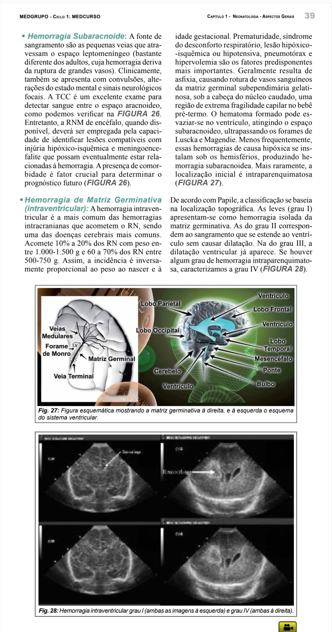 Pediatria Medcurso Vol. 1 [E-book]