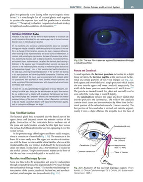 Clinical Anatomy and Physiology of the Visual System Remington 4° Ed [E-book em inglês]