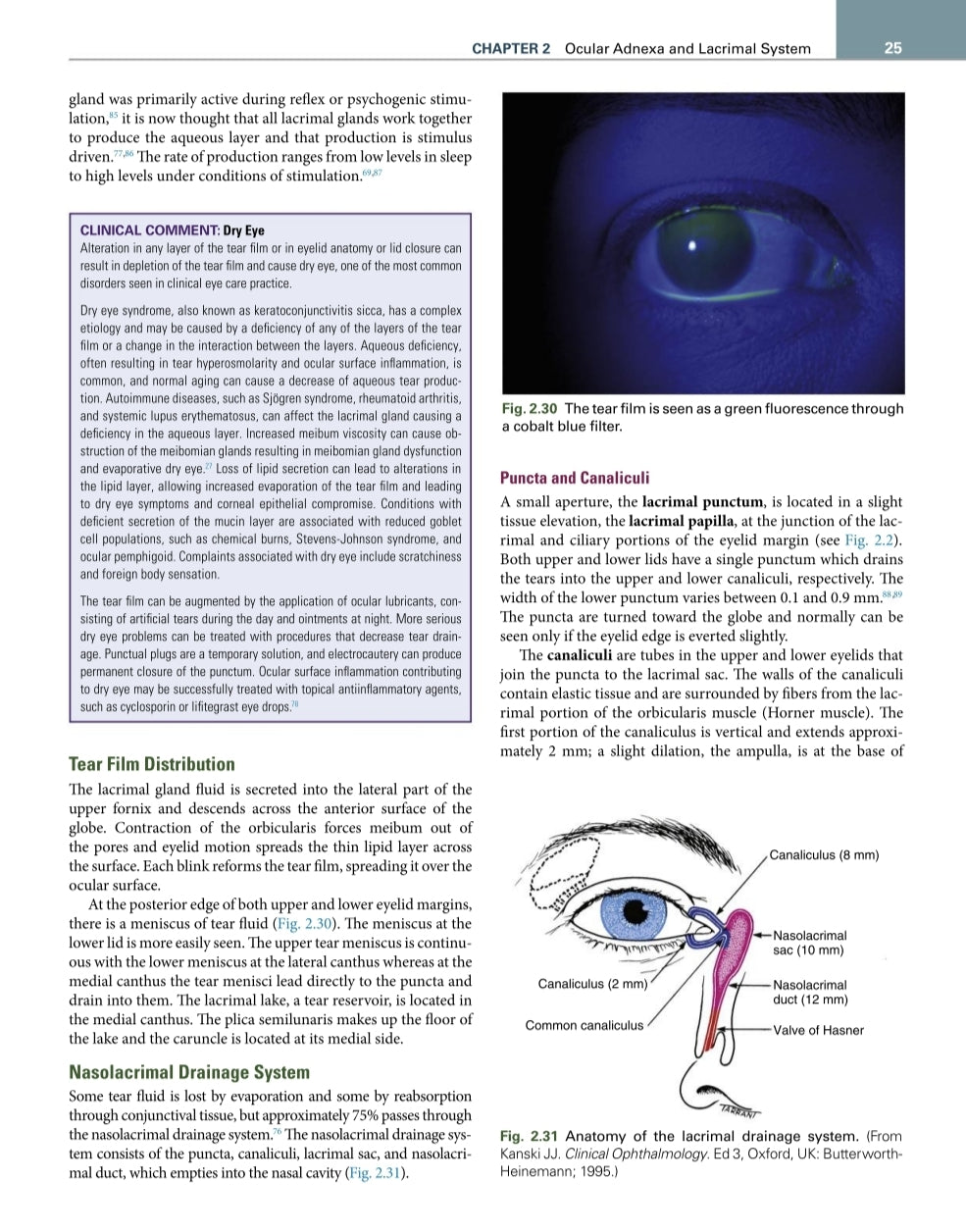 Clinical Anatomy and Physiology of the Visual System Remington 4° Ed [E-book em inglês]