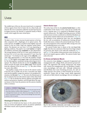 Clinical Anatomy and Physiology of the Visual System Remington 4° Ed [E-book em inglês]