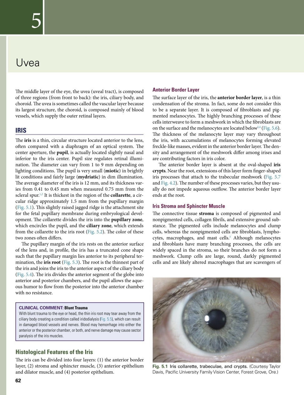 Clinical Anatomy and Physiology of the Visual System Remington 4° Ed [E-book em inglês]